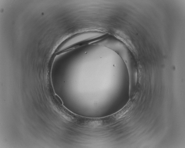 X0000072970156200608041227