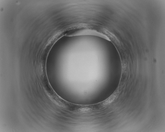 X0000072970158200608041227