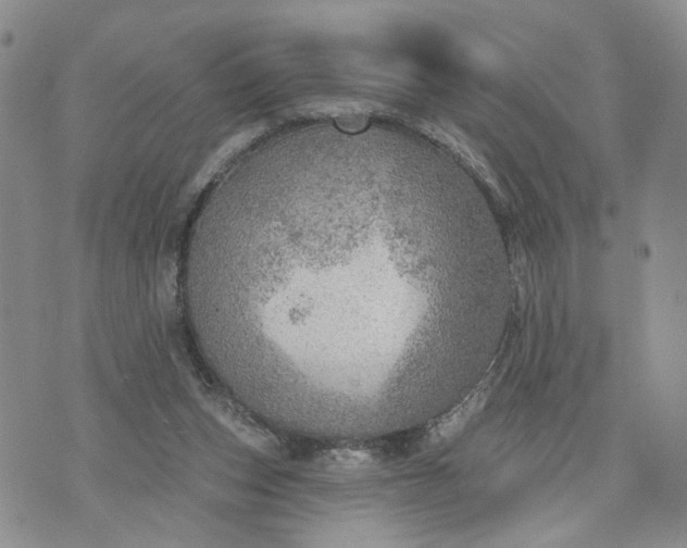 X0000072970159200608041227