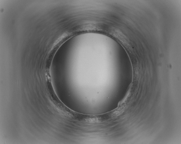 X0000072970160200608041227