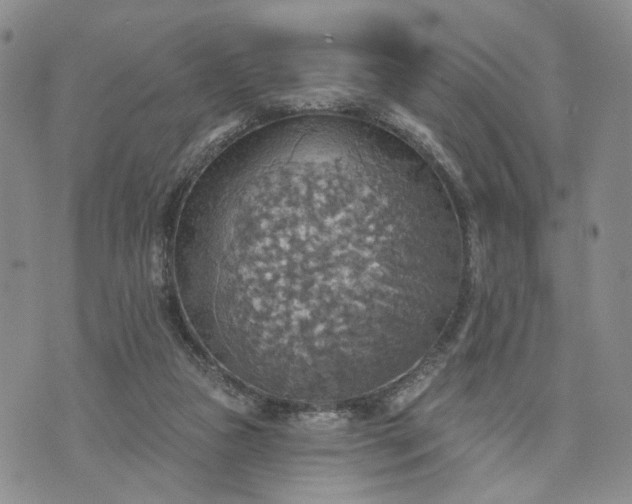 X0000072970161200608041227