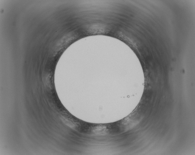 X0000072970162200608041227