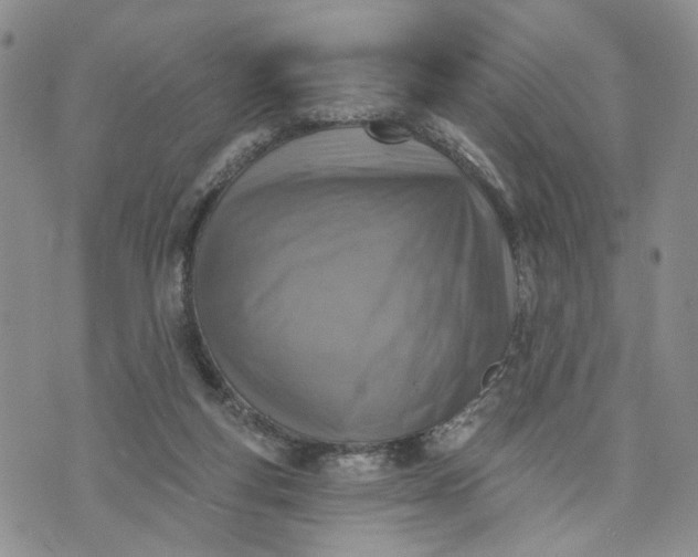 X0000072970163200608041227