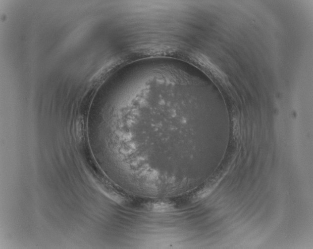 X0000072970165200608041227