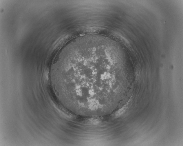 X0000072970166200608041227