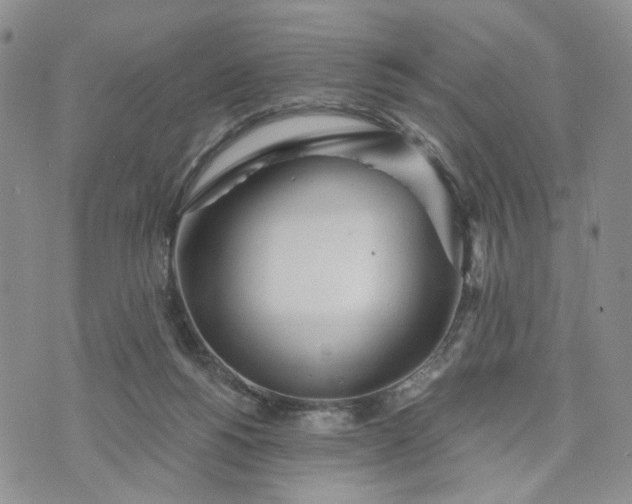 X0000072970168200608041227