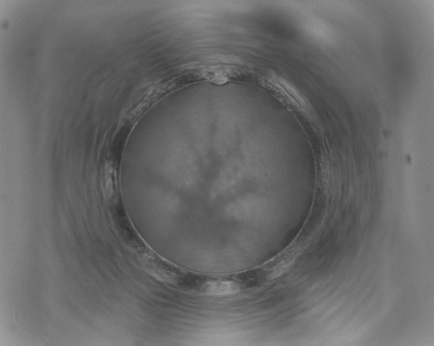 X0000072970169200608041227