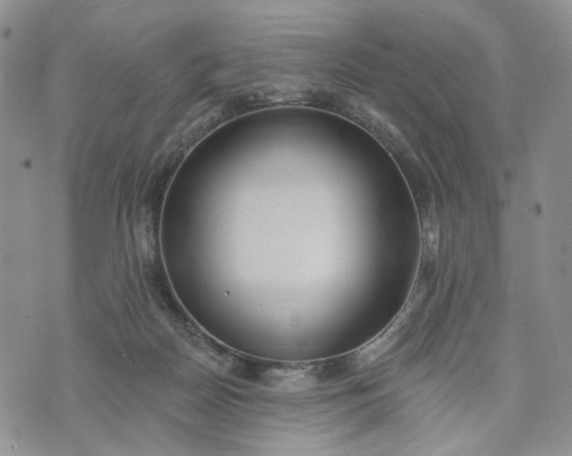 X0000072970170200608041227