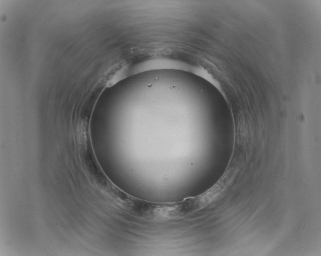 X0000072970172200608041227