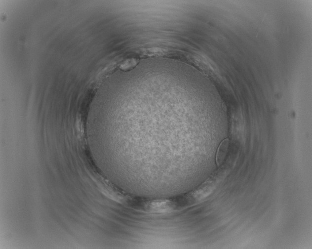 X0000072970173200608041227