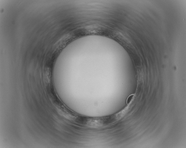 X0000072970174200608041227