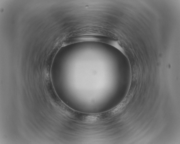 X0000072970176200608041227