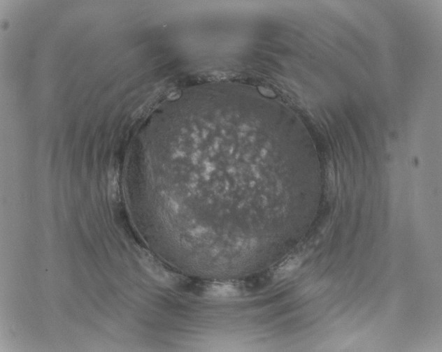 X0000072970177200608041227