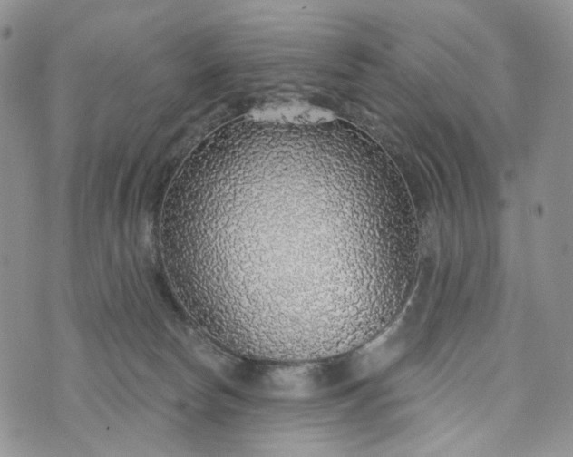 X0000072970178200608041227