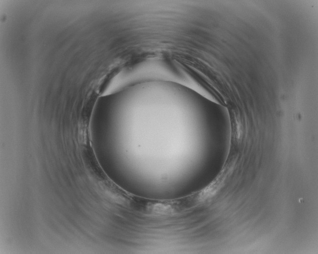 X0000072970180200608041227