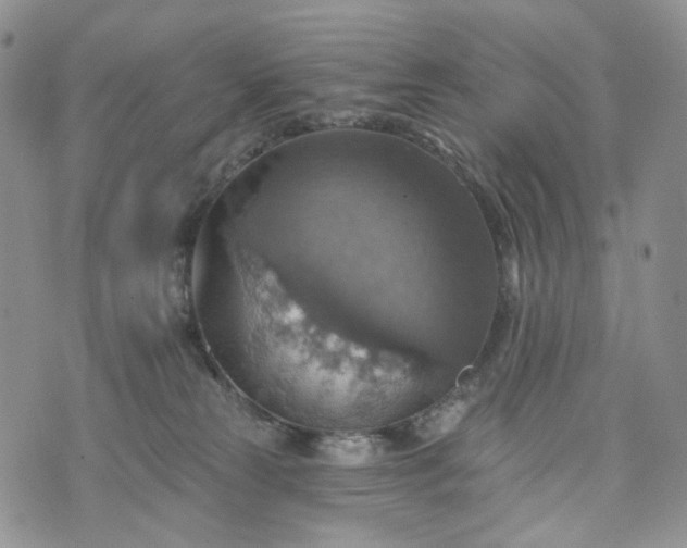 X0000072970181200608041227