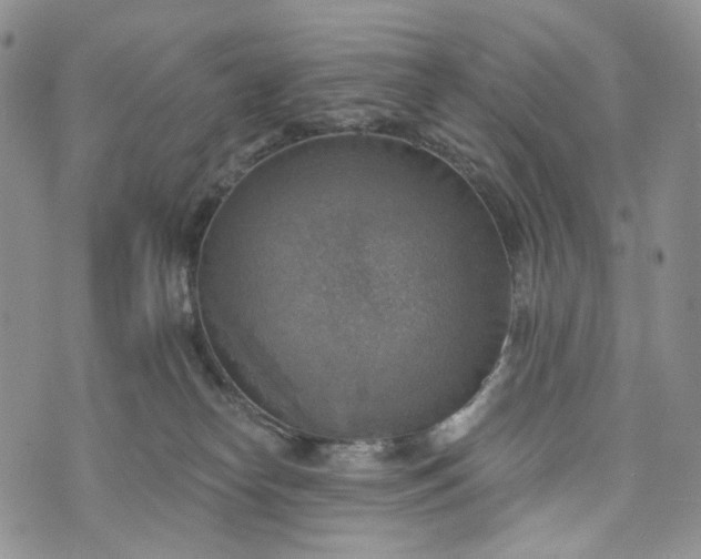 X0000072970182200608041227