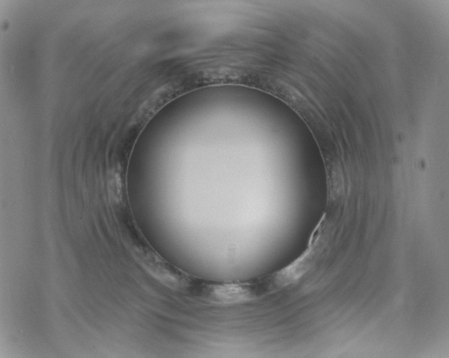 X0000072970183200608041227