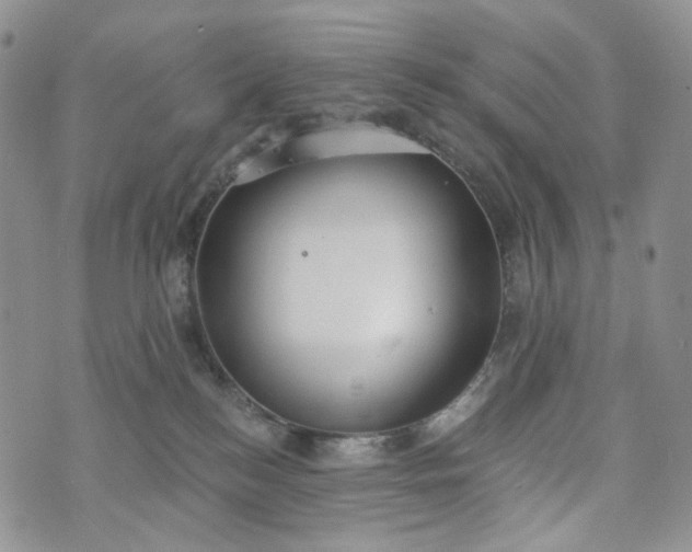 X0000072970184200608041227