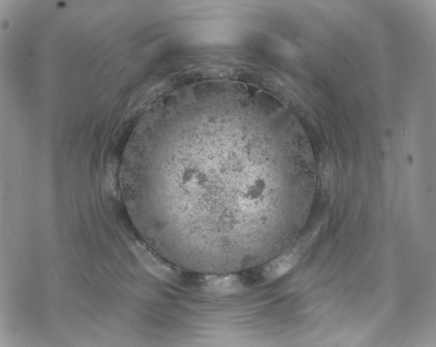 X0000072970185200608041227