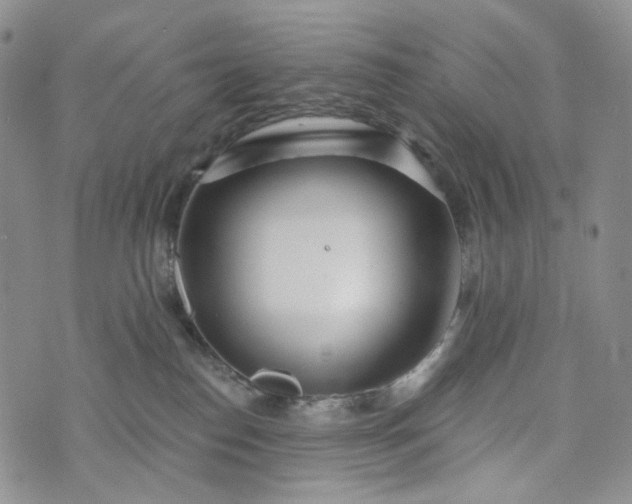 X0000072970186200608041227