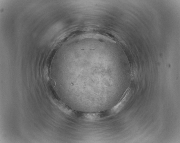 X0000072970187200608041227