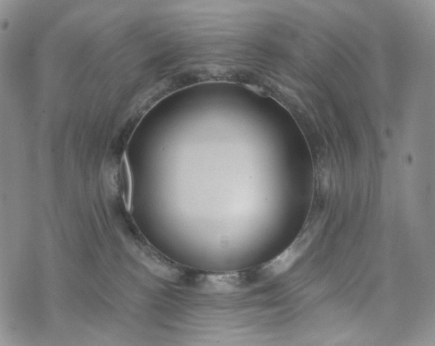 X0000072970188200608041227