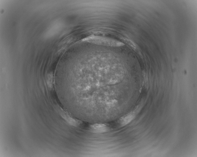 X0000072970189200608041227