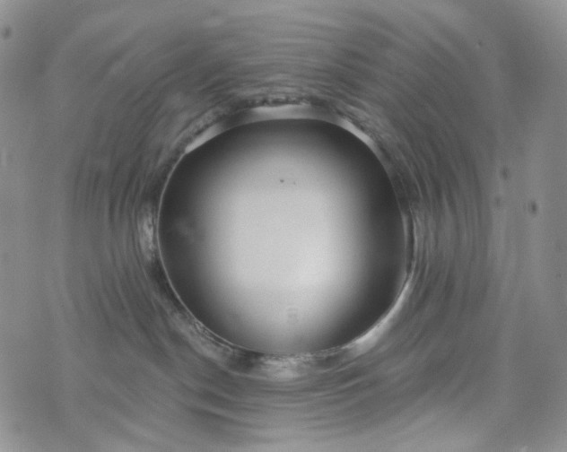 X0000072970190200608041227