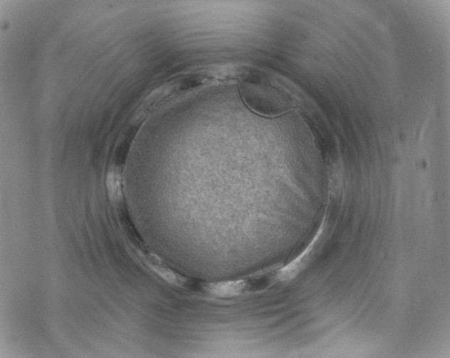 X0000072970191200608041227