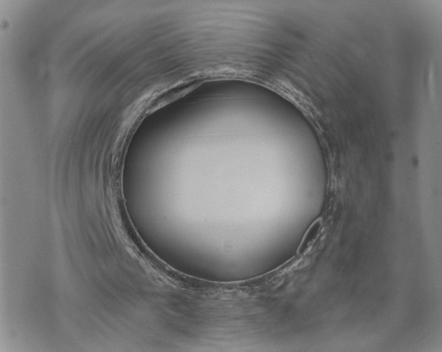 X0000072970193200608041226