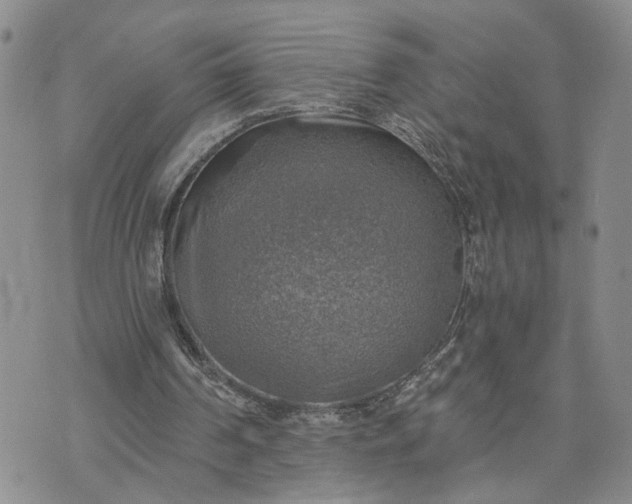 X0000072970194200608041226