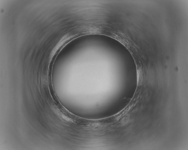 X0000072970195200608041226