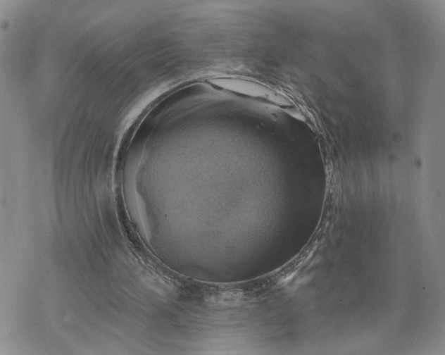 X0000072970196200608041226