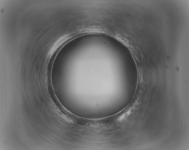 X0000072970199200608041226