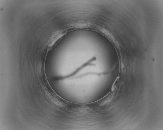 X0000072970201200608041226