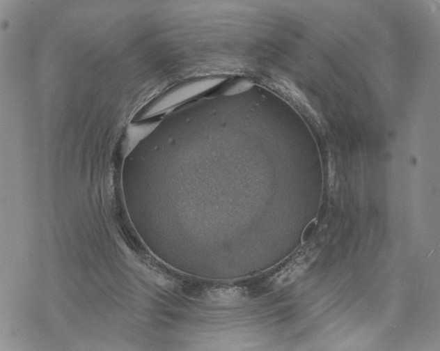 X0000072970202200608041226