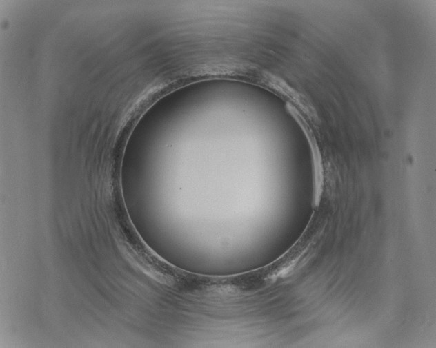 X0000072970203200608041226