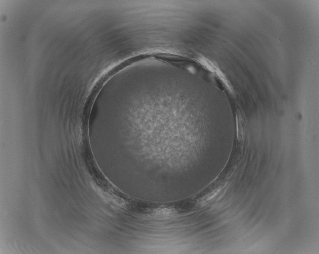 X0000072970204200608041226