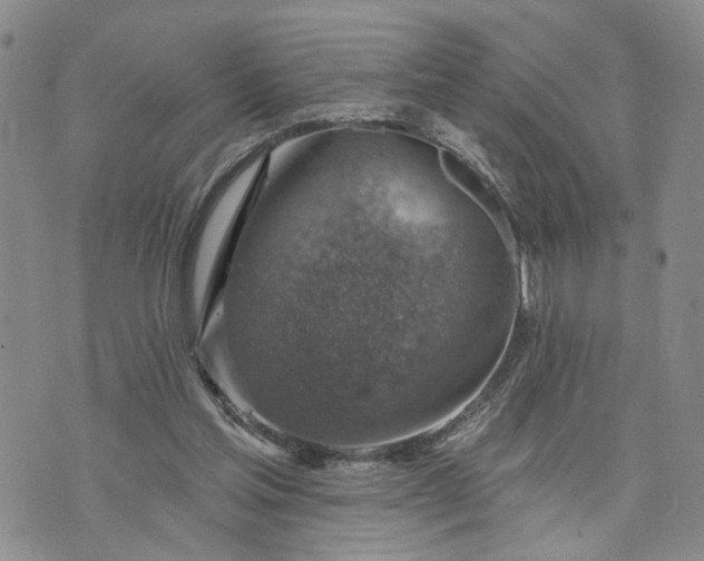 X0000072970205200608041226