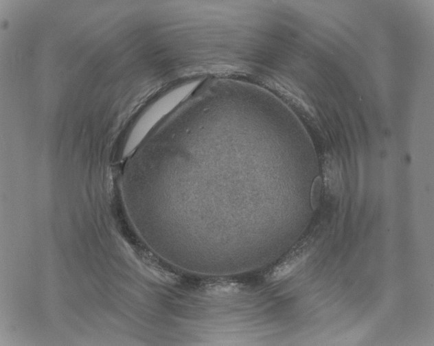 X0000072970206200608041226