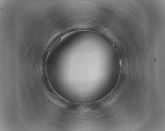 X0000072970207200608041226