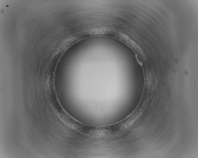 X0000072970209200608041226