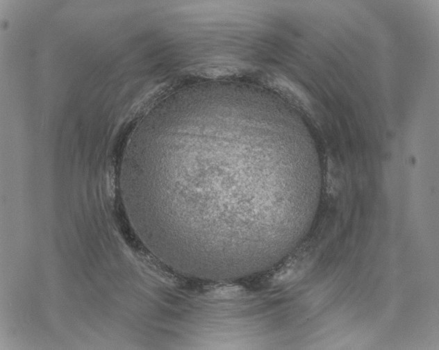 X0000072970210200608041226