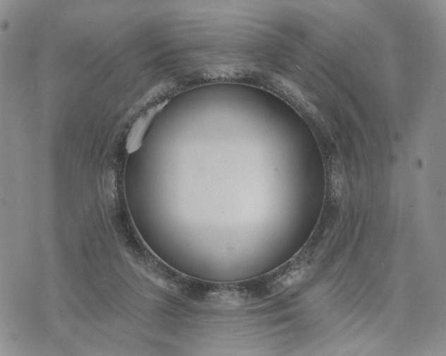 X0000072970211200608041226