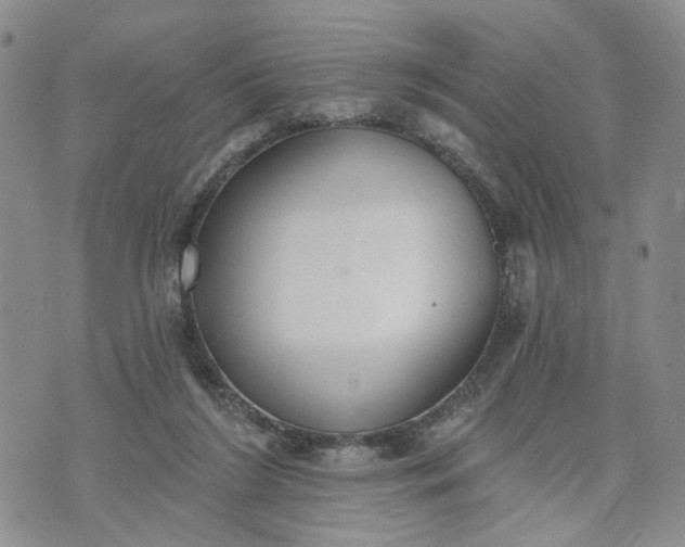 X0000072970212200608041226