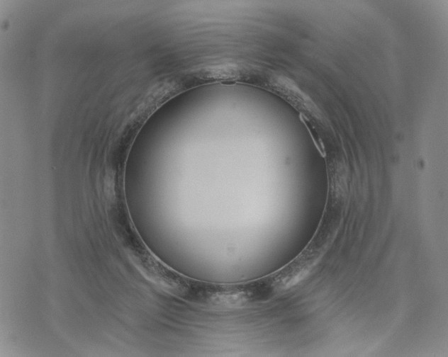 X0000072970213200608041226