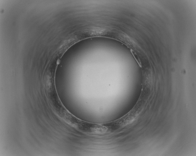 X0000072970215200608041226