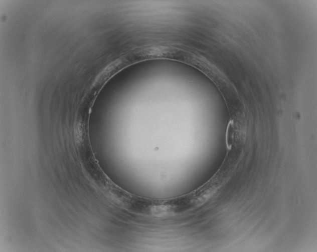 X0000072970216200608041226