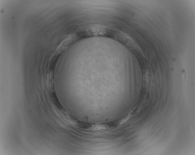 X0000072970218200608041226